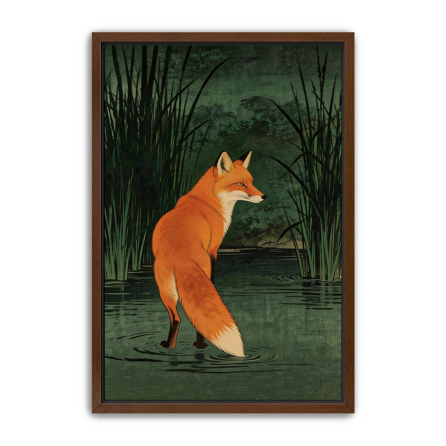 Marsh Fox