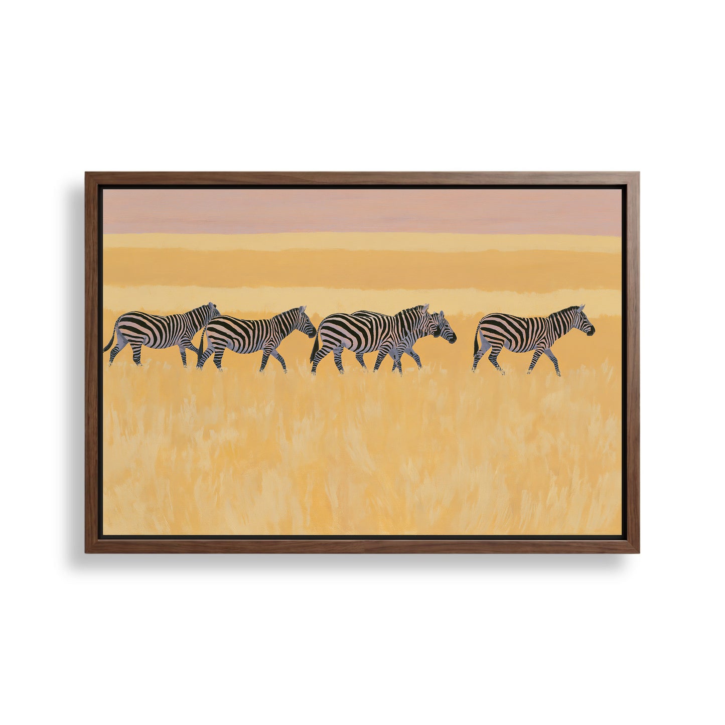 A group of zebras walking across a grassy plain with a warm, golden-hued sky in the background.