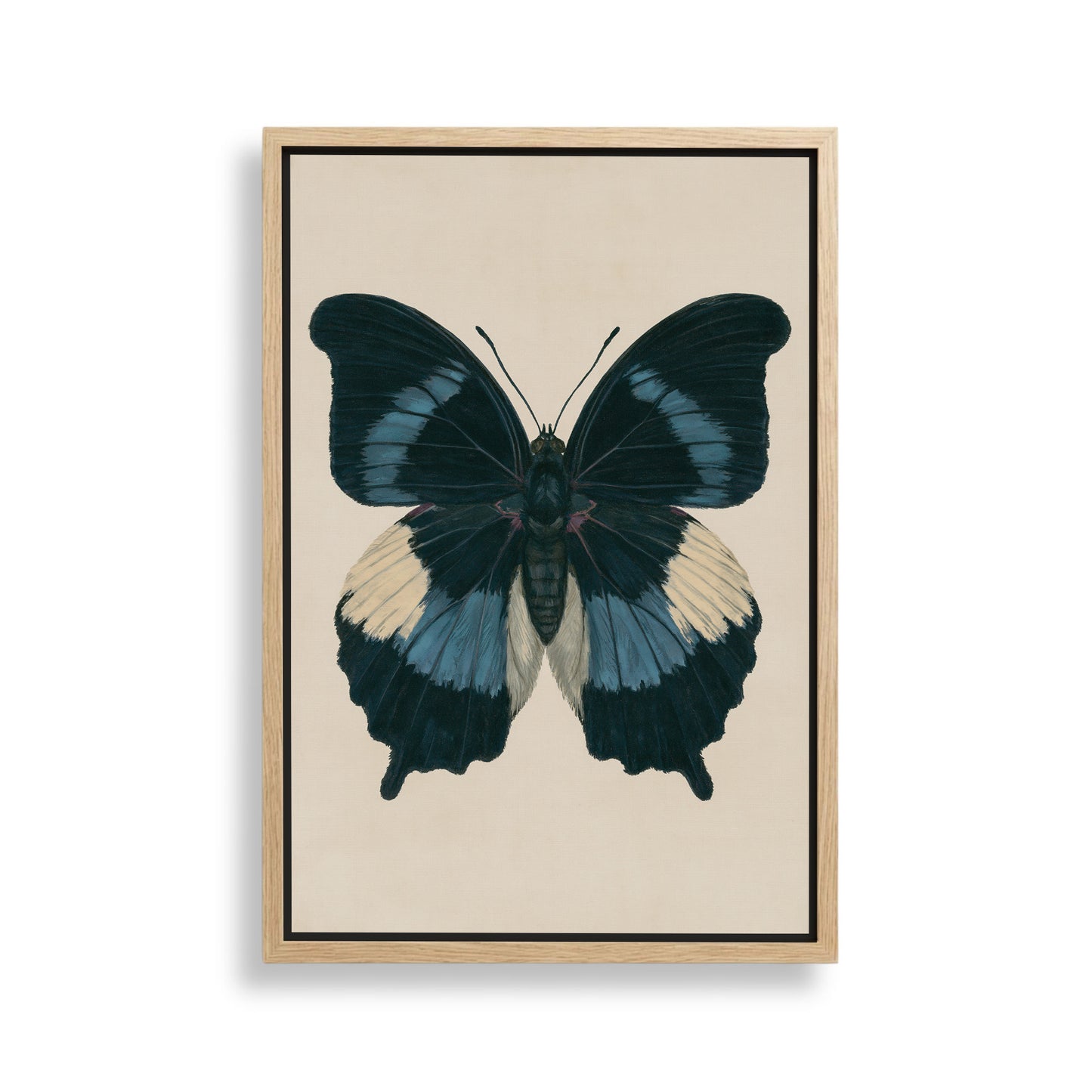 The image is a framed painting of a blue butterfly with white and black wings.