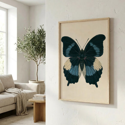 a framed picture of a blue and black butterfly hanging on a wall in a living room.