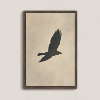 Soar Canvas Print silhouette of bird in flight with soft neutral background in walnut frame