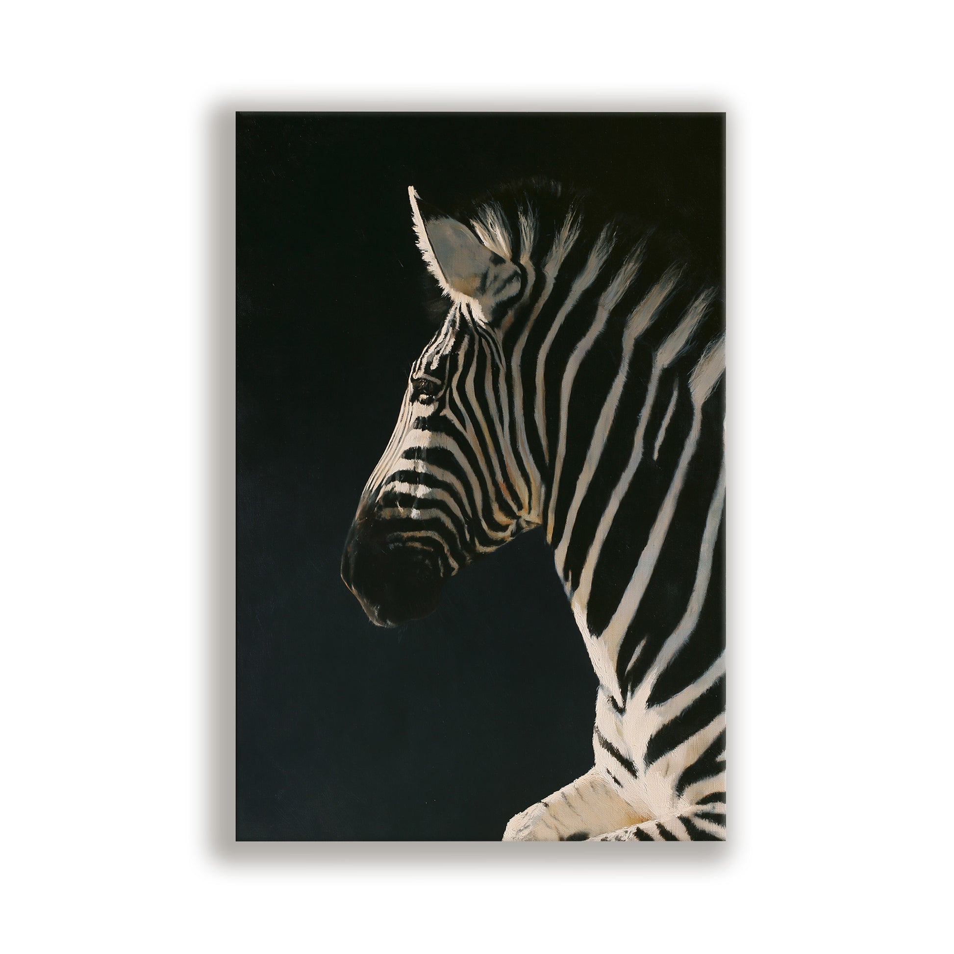 A close-up portrait of a zebra against a dark background, showcasing its distinctive black and white stripes.