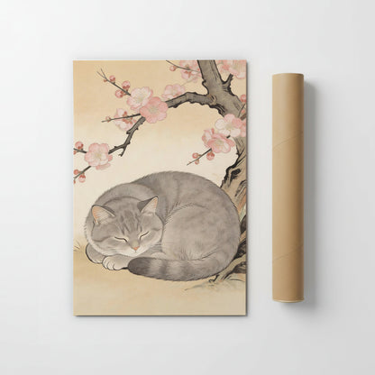 Sakura Cat