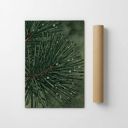 Emerald Pine