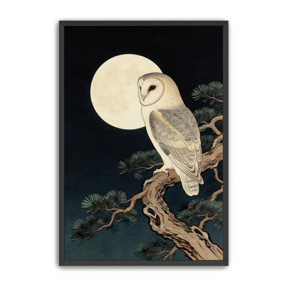 Moonlit Owl