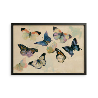 The image is a framed print featuring a vibrant display of colorful butterflies in various poses and orientations.