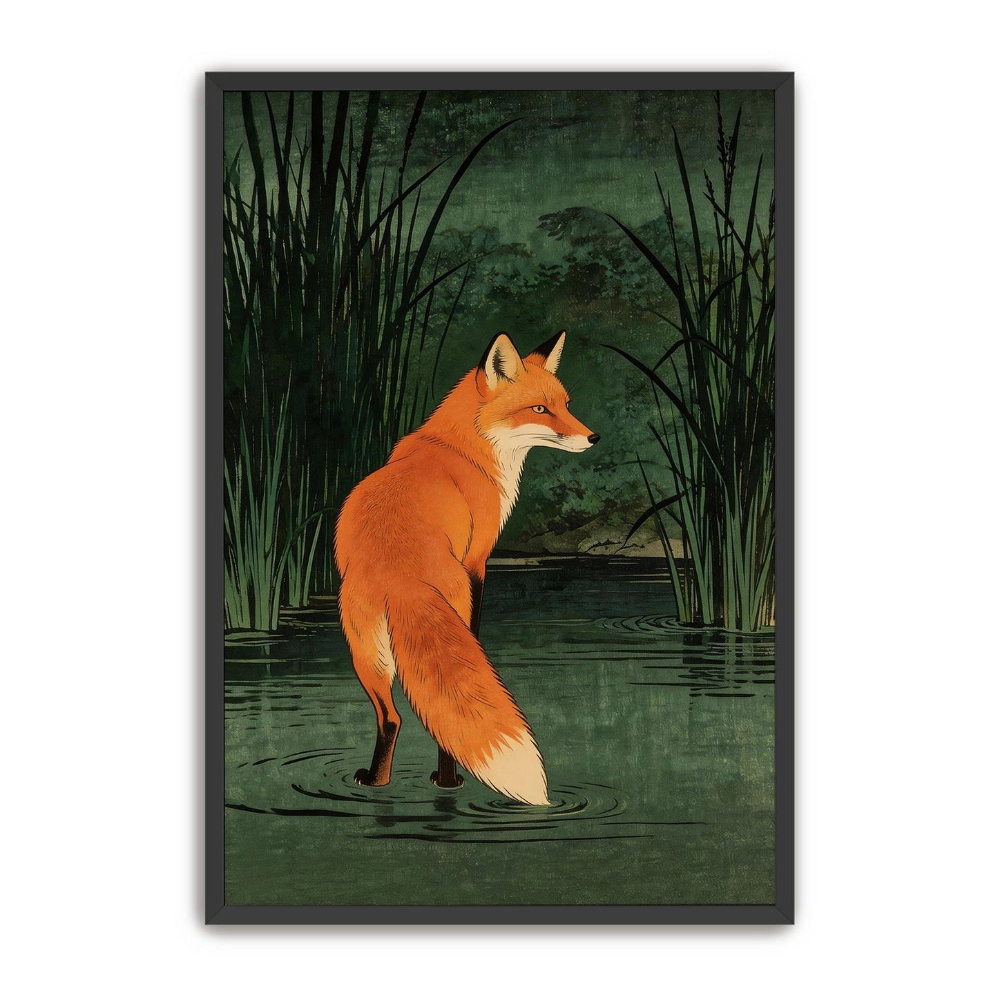 Marsh Fox