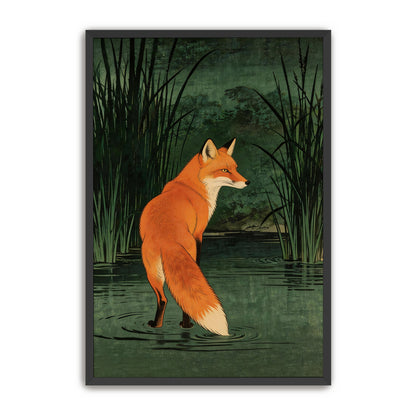 Marsh Fox