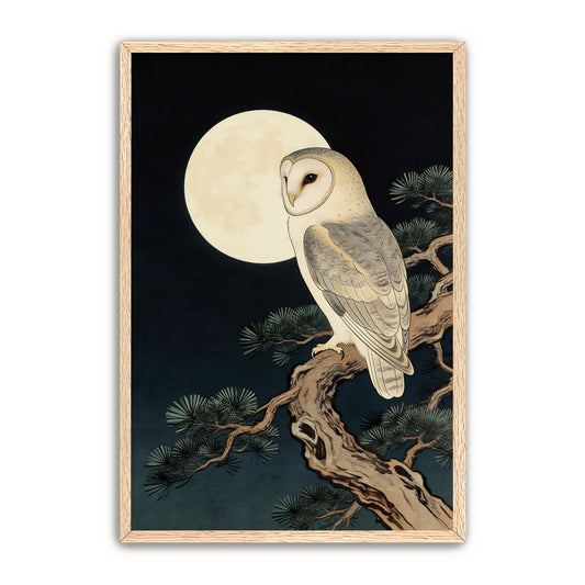 Moonlit Owl