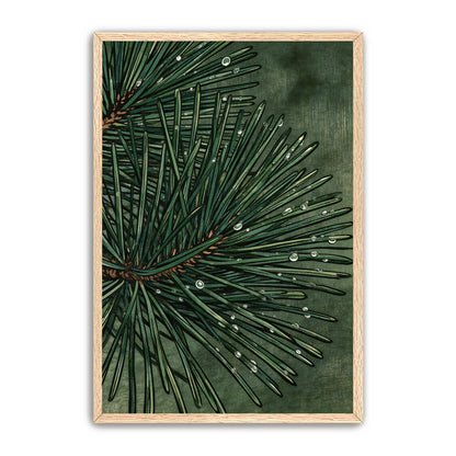 Emerald Pine