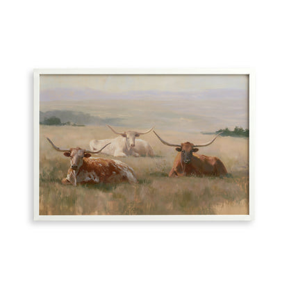 a group of longhorn cattle resting in a grassy field.