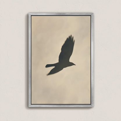 Soar Canvas Print featuring silhouette of bird in flight with soft neutral background in a silver frame