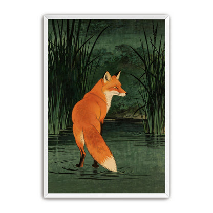 Marsh Fox