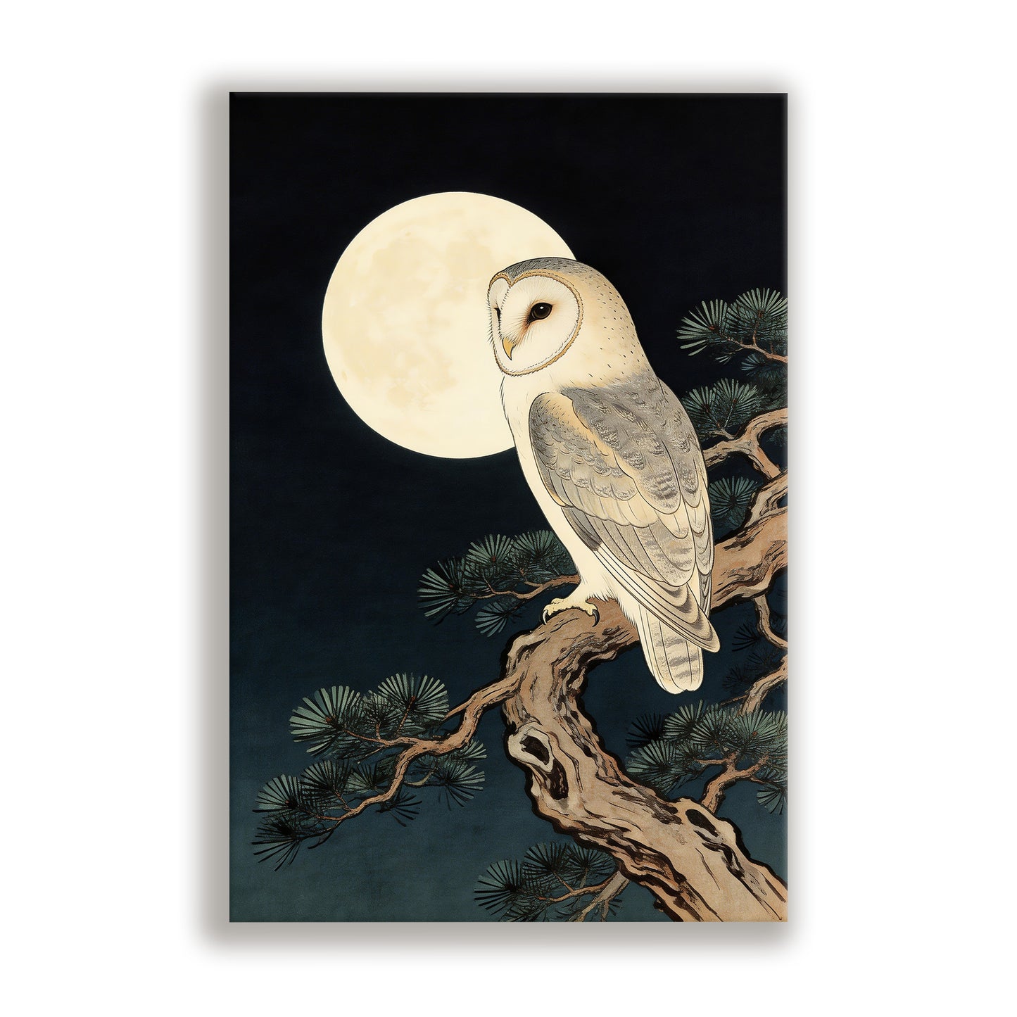 Moonlit Owl