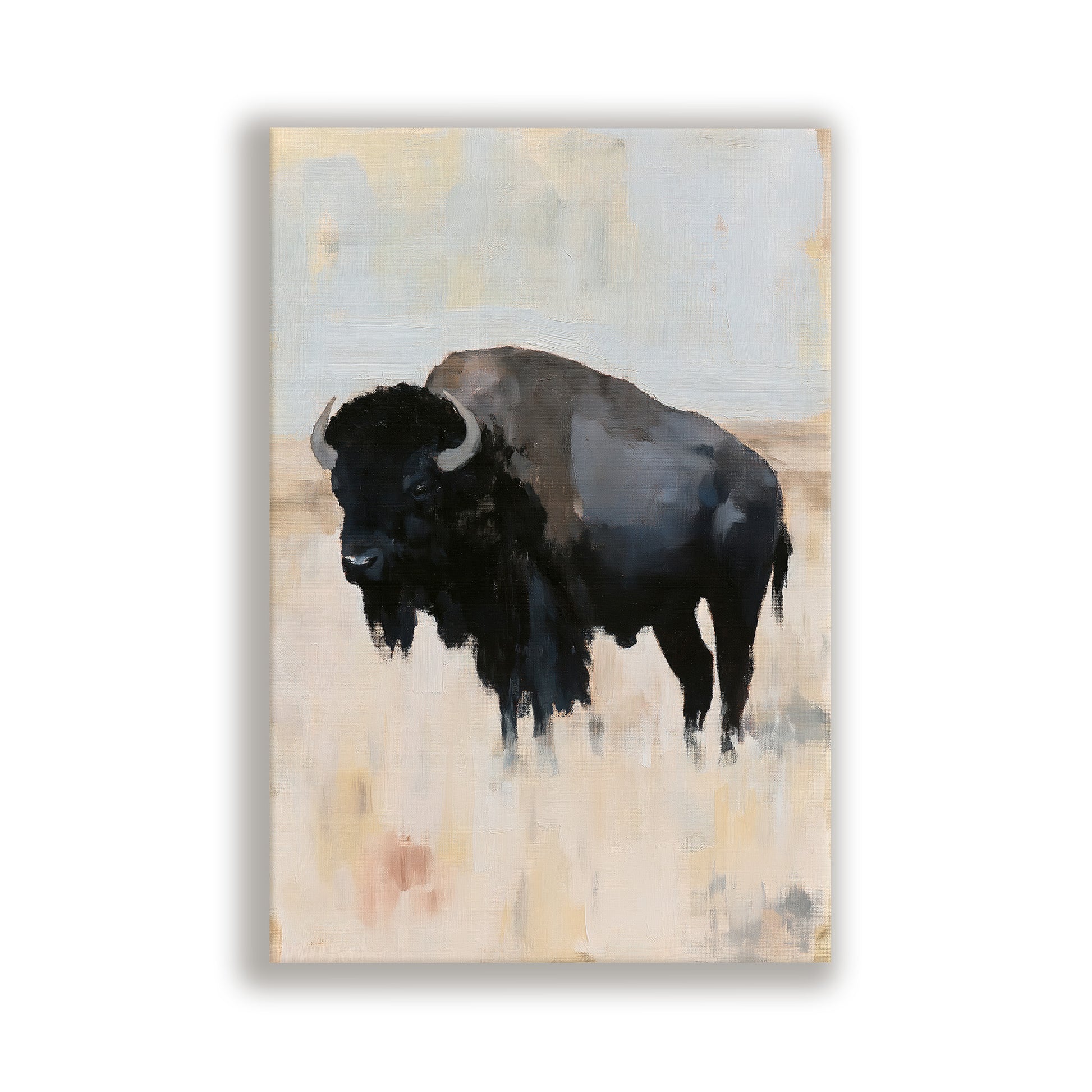 a large black buffalo standing in a field.