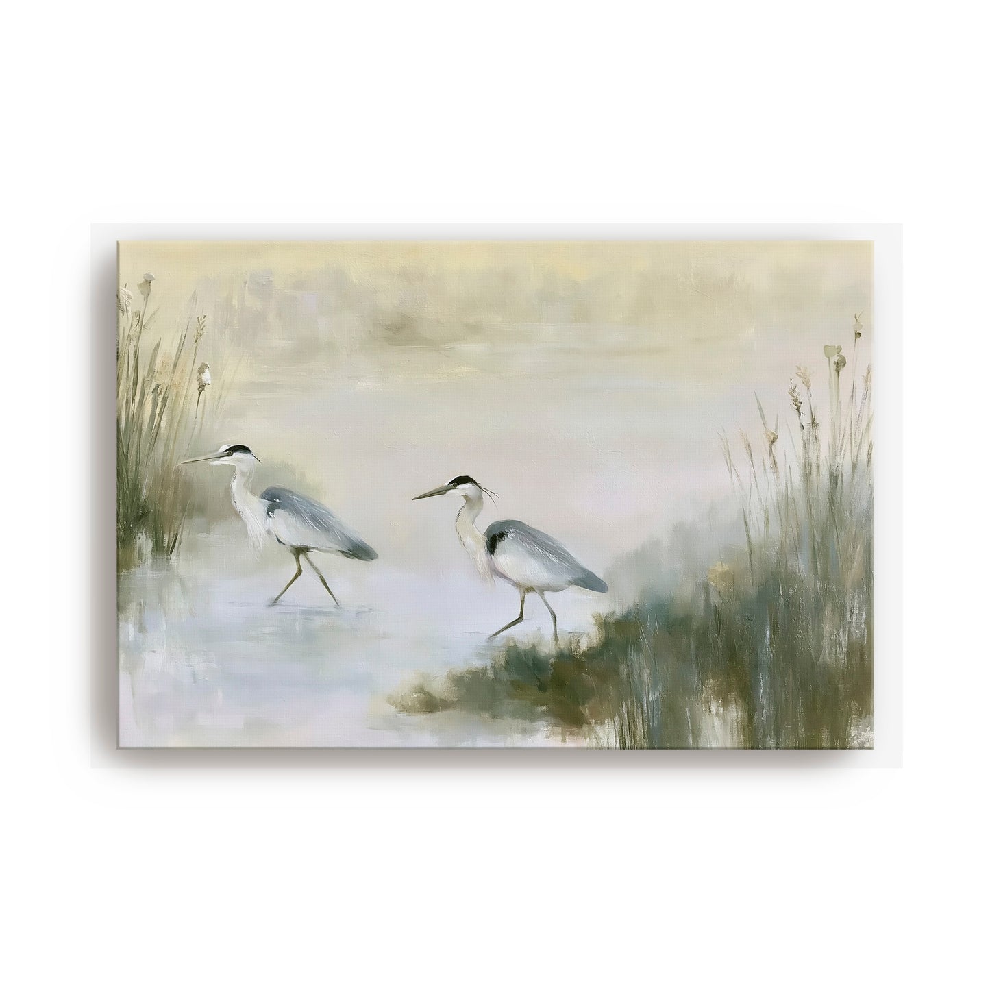 two herons walking in a marshy area with tall grasses and reeds.