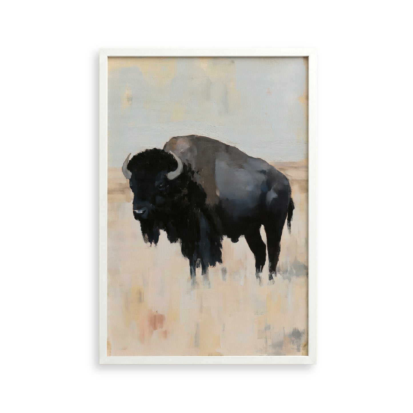 a large black buffalo standing in a field.
