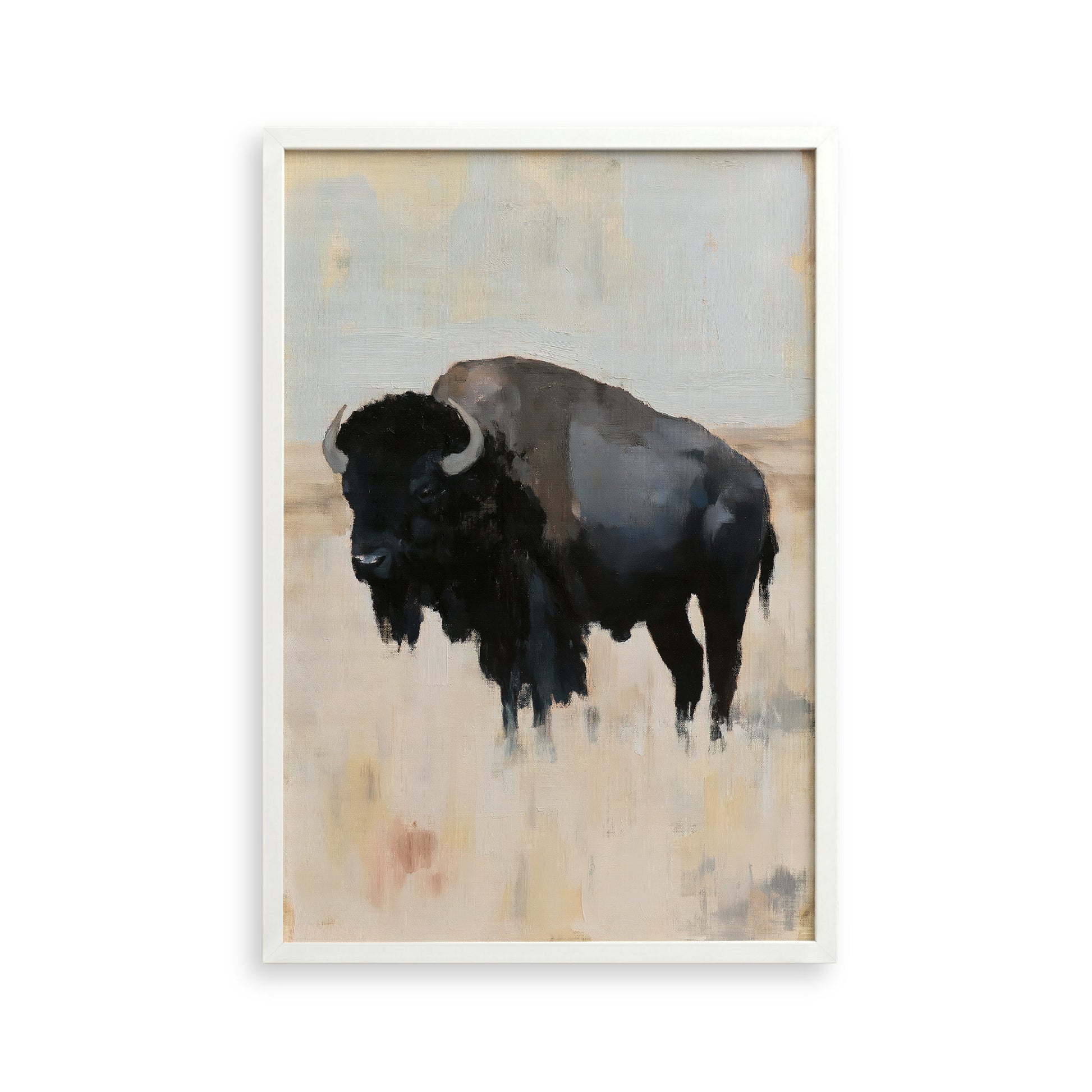 a large black buffalo standing in a field.