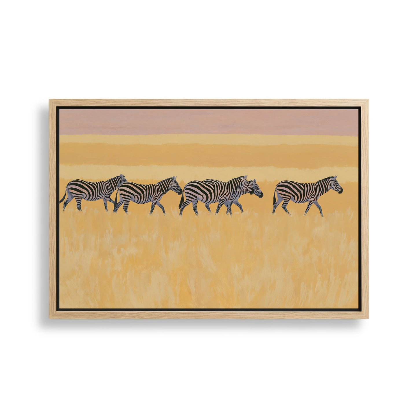 A group of zebras walking across a grassy plain with a warm, golden-yellow background.