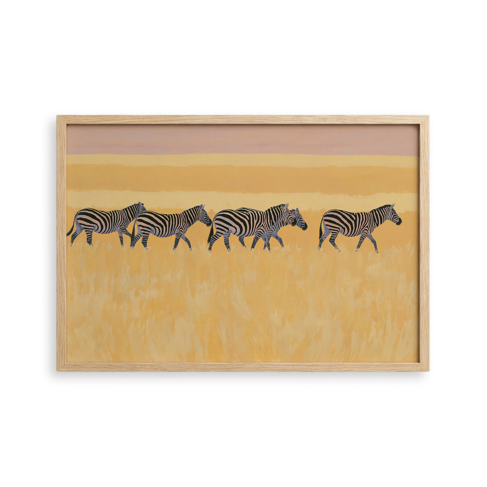 A group of zebras walking across a grassy plain with a warm, golden-yellow background.