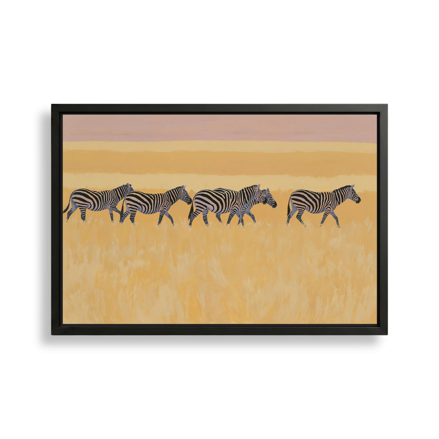 A group of zebras walking across a grassy plain with a warm, golden-hued sky in the background.
