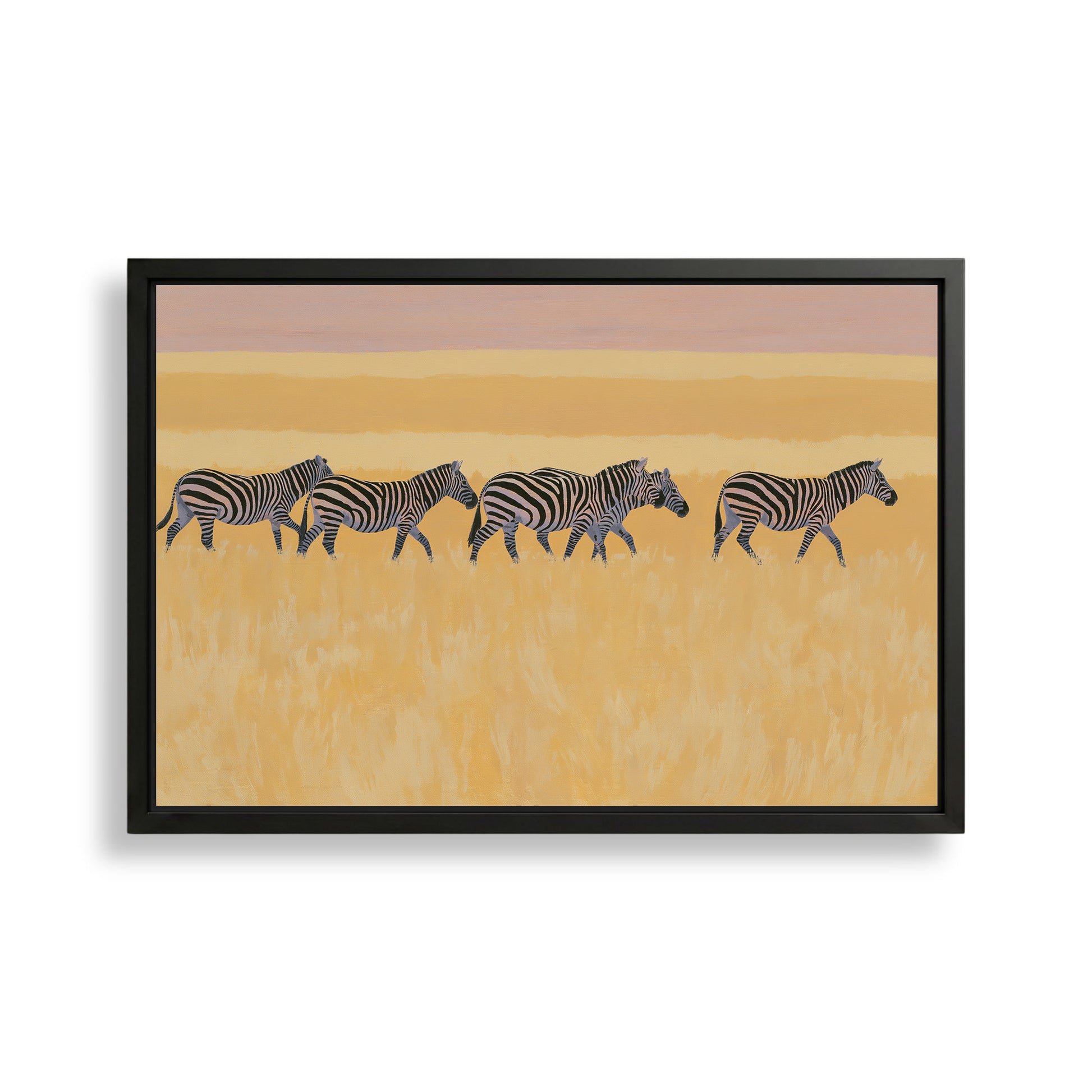 A group of zebras walking across a grassy plain with a warm, golden-hued sky in the background.