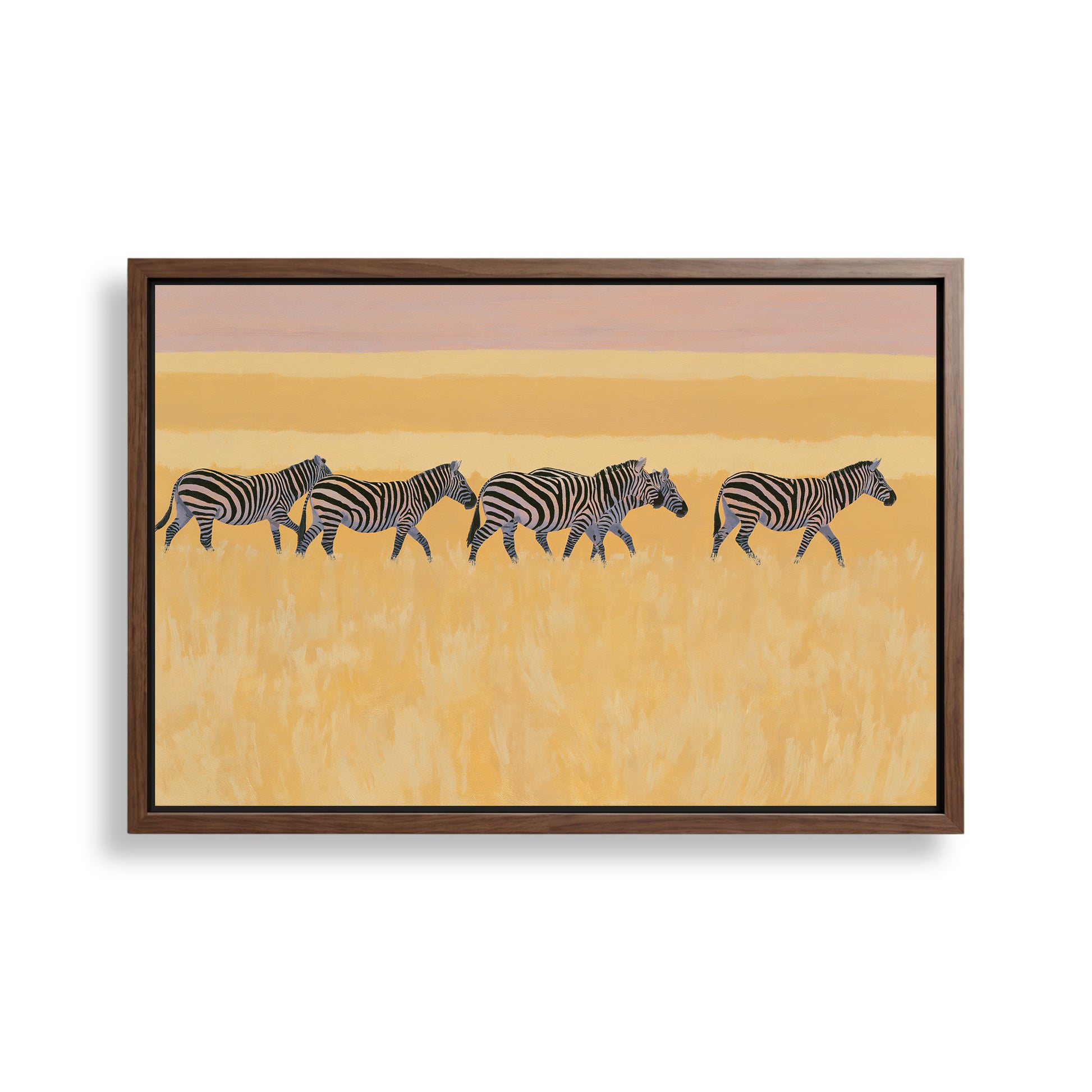 A group of zebras walking across a grassy plain with a warm, golden-hued sky in the background.