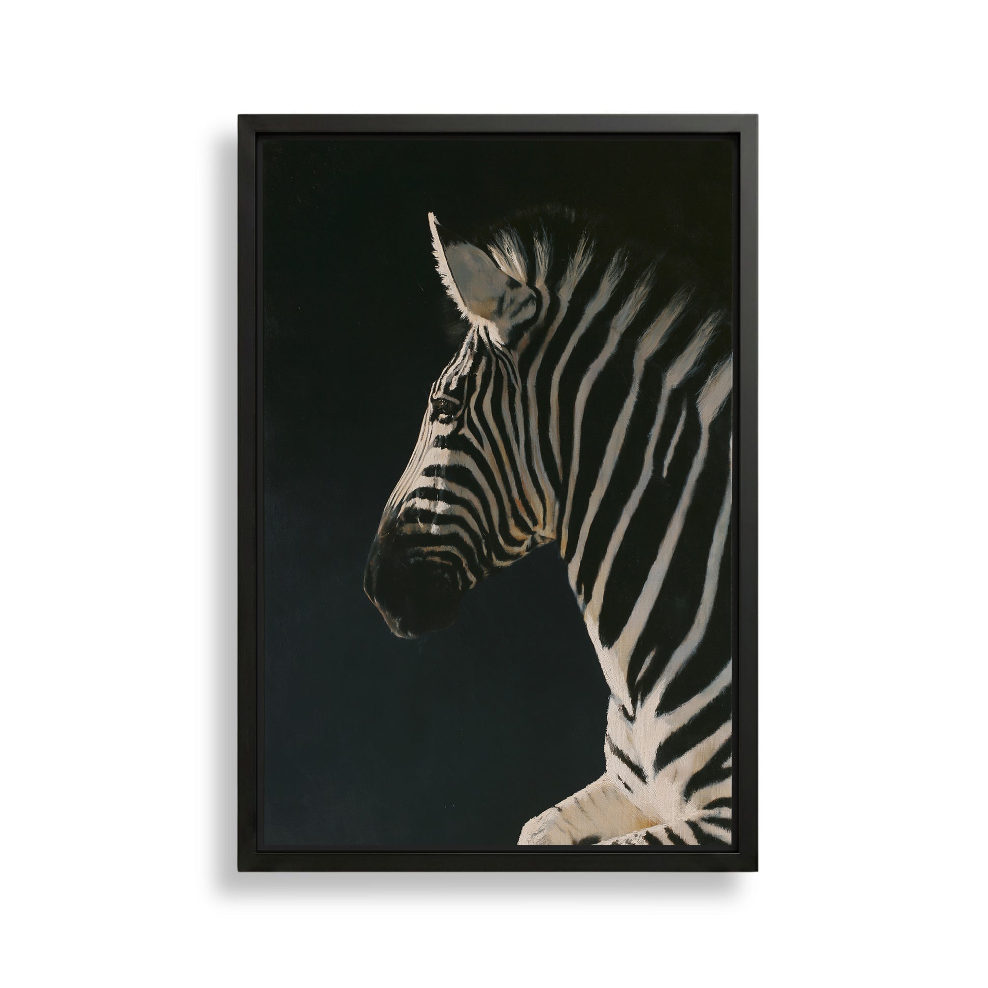 A close-up portrait of a zebra against a dark background, with its distinctive black and white stripes prominently featured.