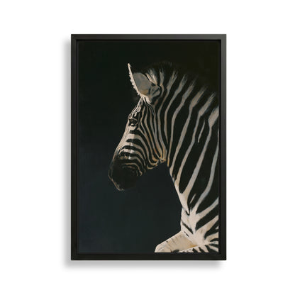 A close-up portrait of a zebra against a dark background, with its distinctive black and white stripes prominently featured.