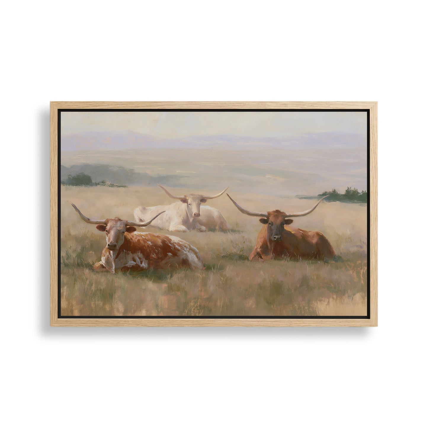 a group of three longhorn cattle resting in a grassy field.