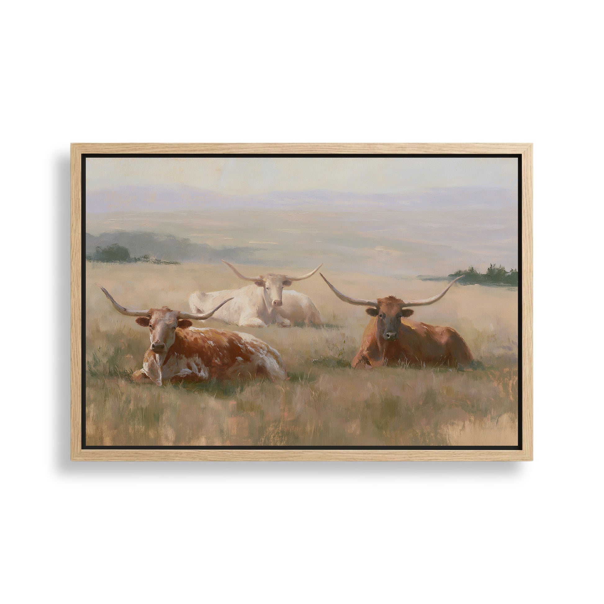 a group of three longhorn cattle resting in a grassy field.