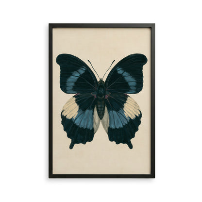 The image is a framed print of a detailed and colorful butterfly with blue and white wings.