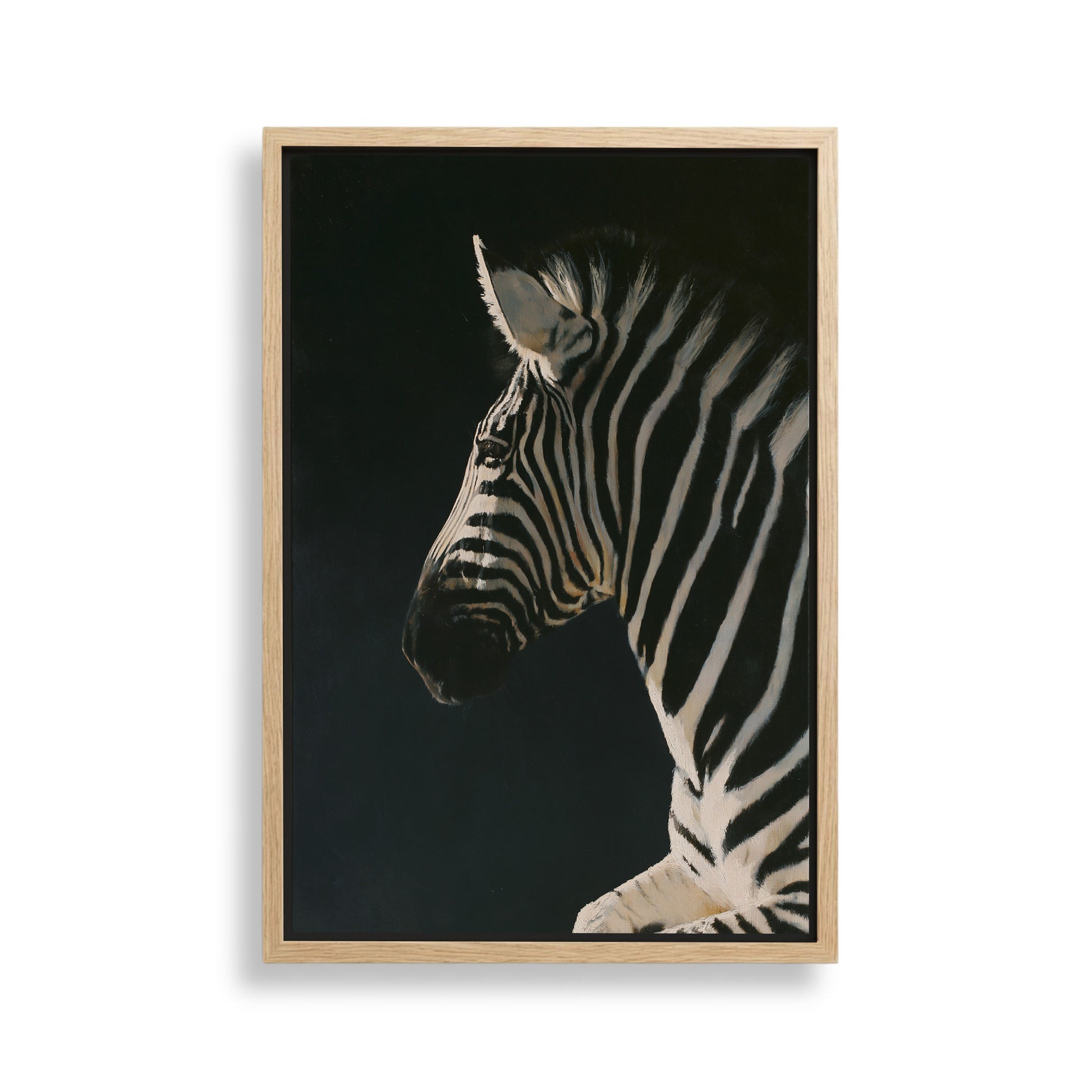 A close-up portrait of a zebra against a dark background, with its distinctive black and white stripes prominently featured.