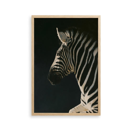 A close-up portrait of a zebra against a dark background, with its distinctive black and white stripes prominently featured.