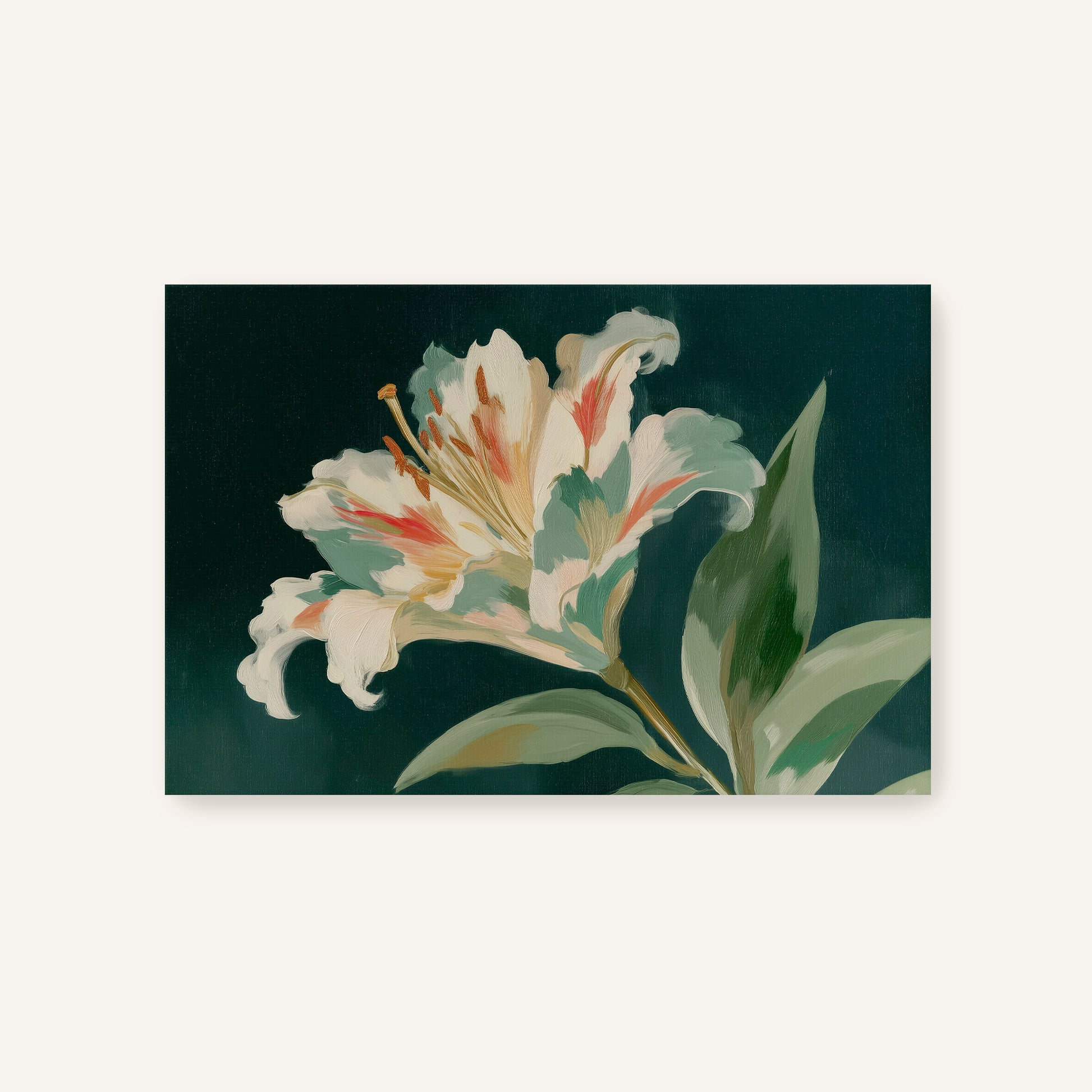 A close-up of a beautiful white lily flower with green leaves against a dark background.