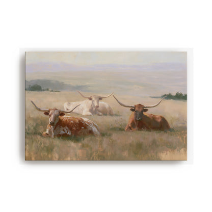 three longhorn cattle resting in a grassy field.