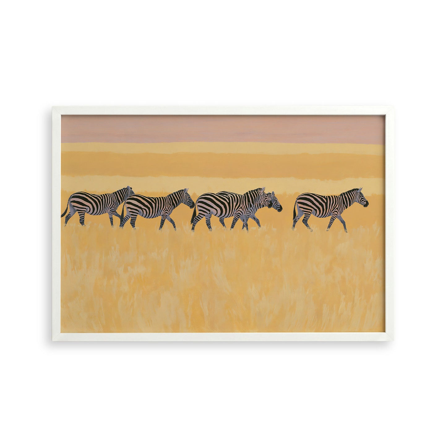 A group of zebras walking across a grassy plain with a warm, golden-yellow background.