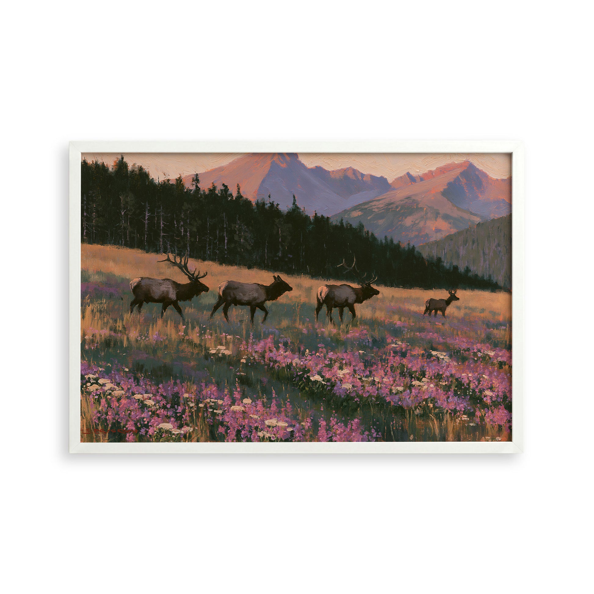 A group of elk grazing in a field with mountains in the background.