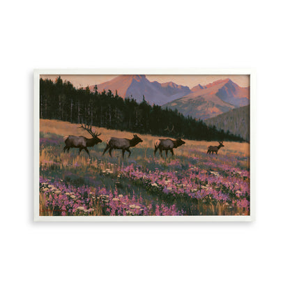 A group of elk grazing in a field with mountains in the background.