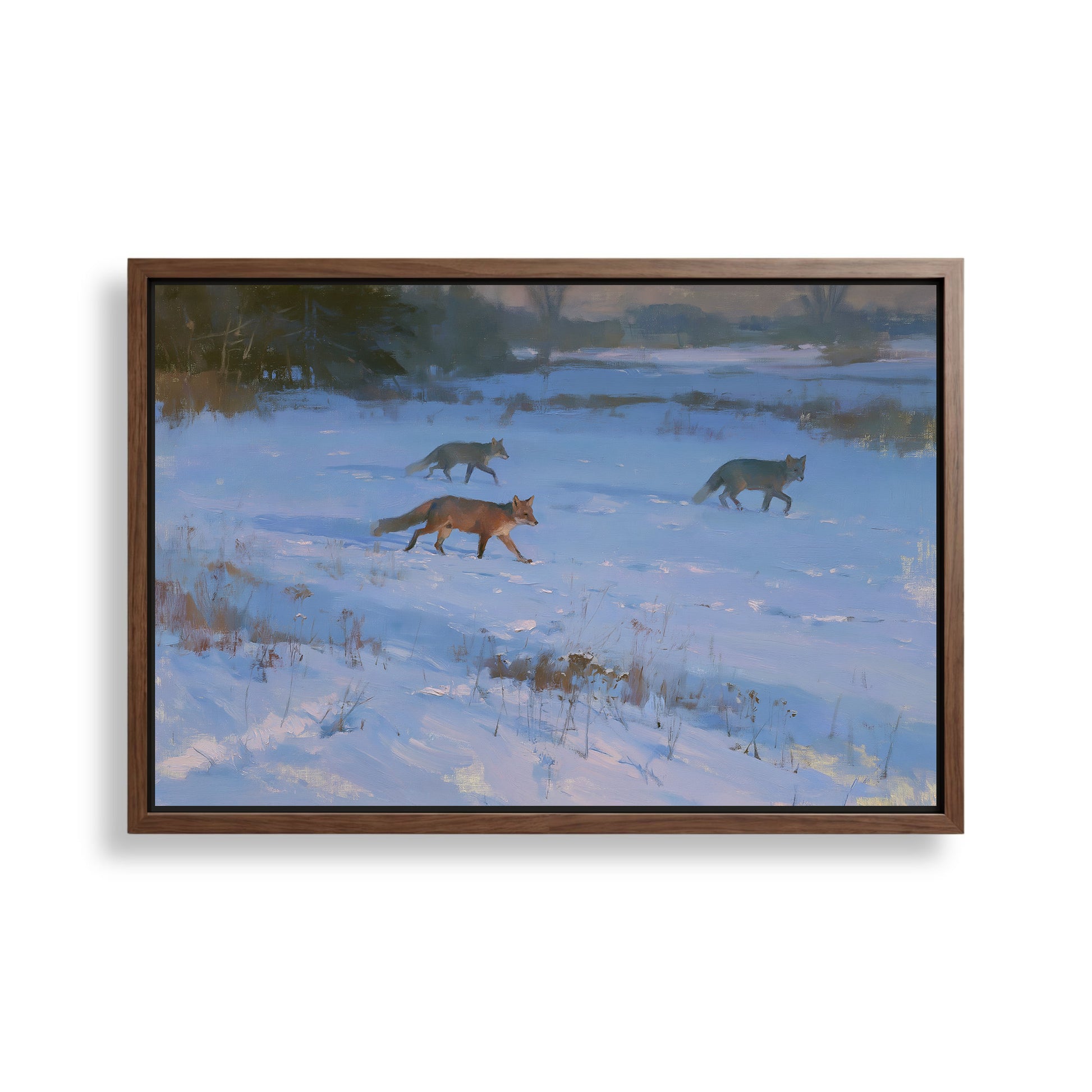 three foxes walking through a snowy field.
