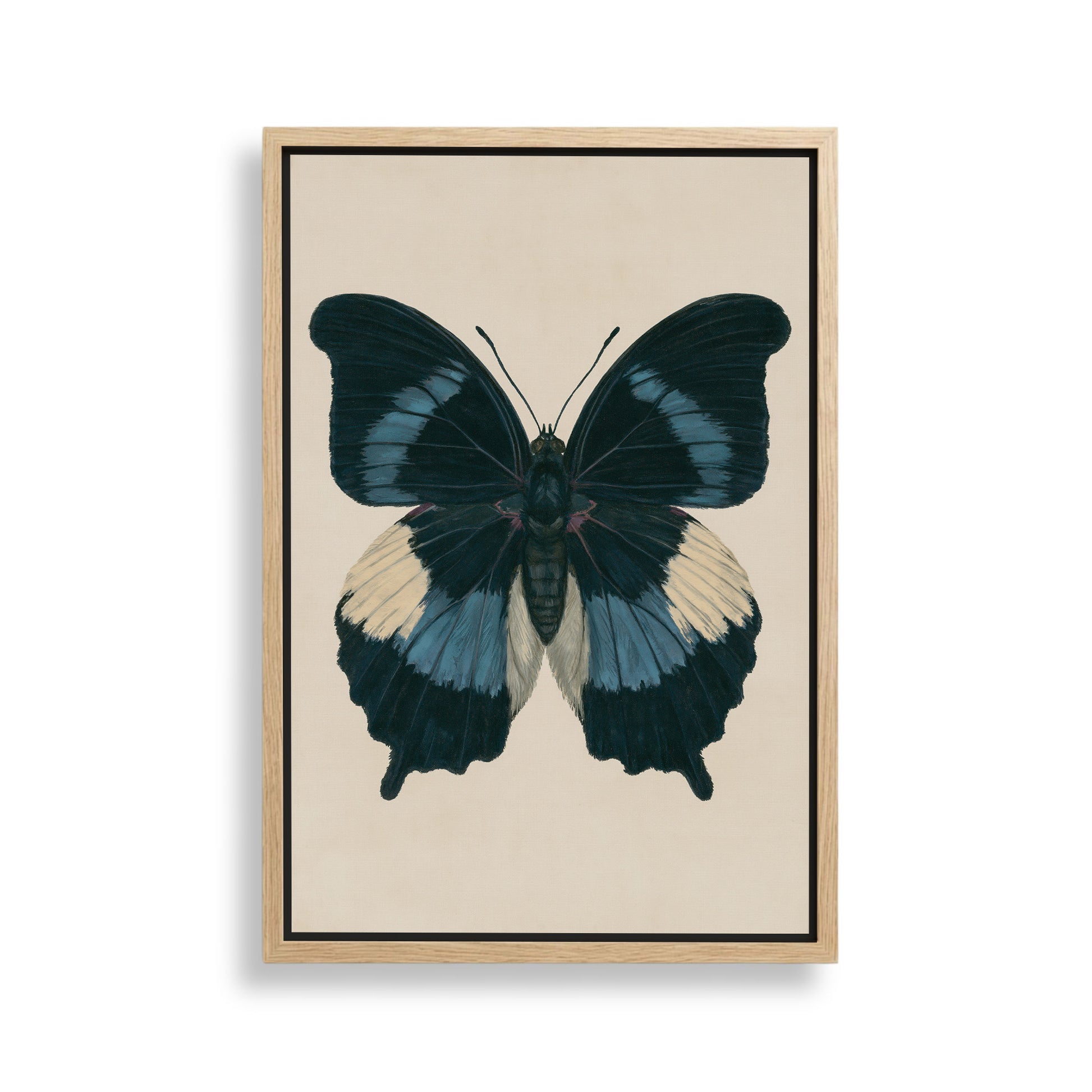 The image is a framed painting of a blue butterfly with white and black wings.