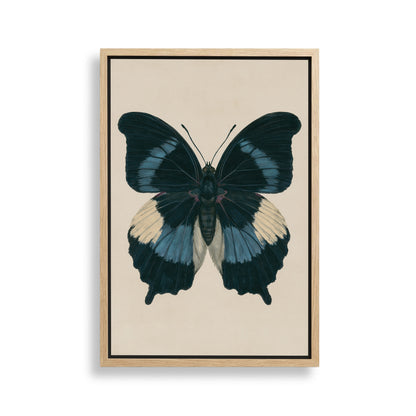 The image is a framed painting of a blue butterfly with white and black wings.