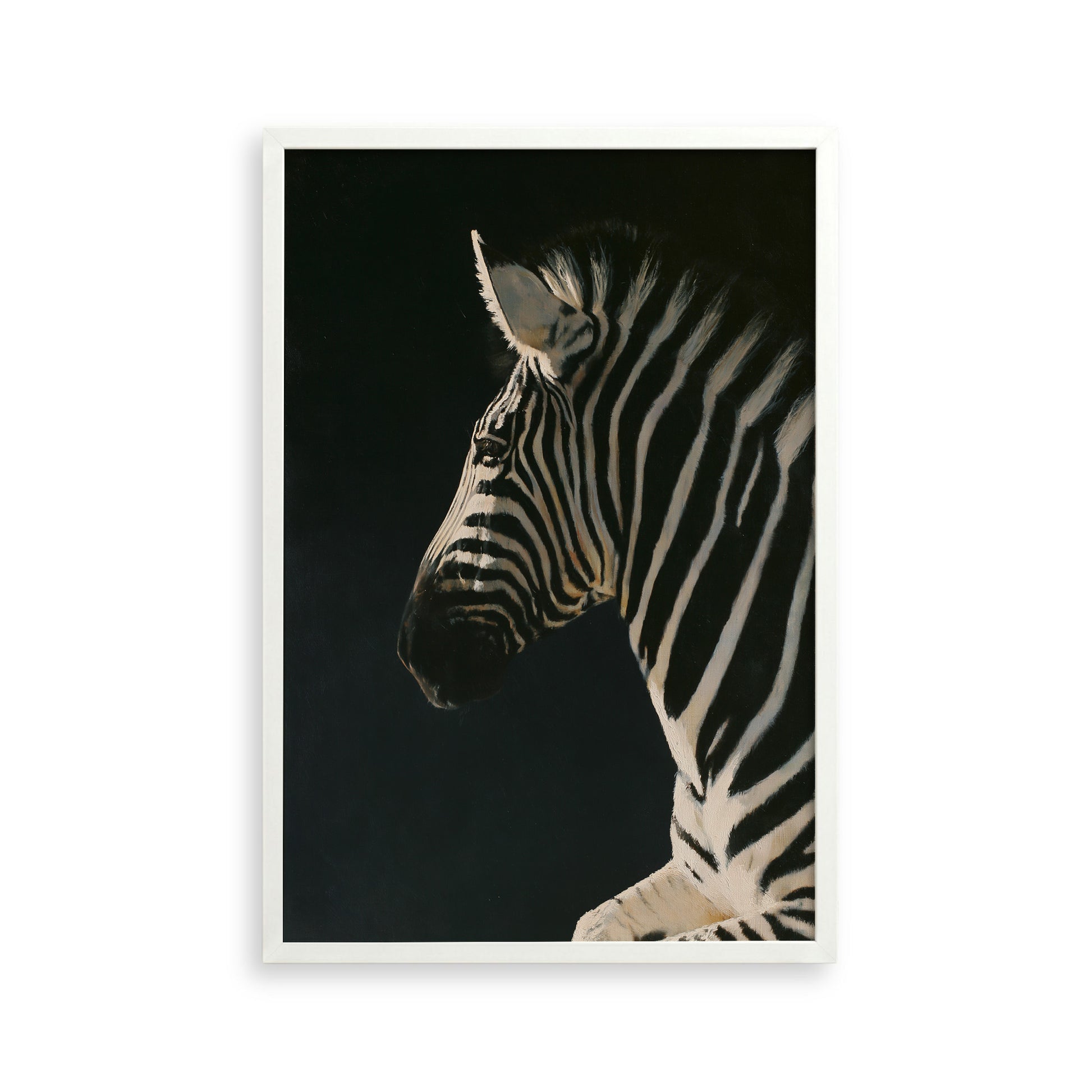 A close-up portrait of a zebra against a dark background, with its distinctive black and white stripes prominently featured.
