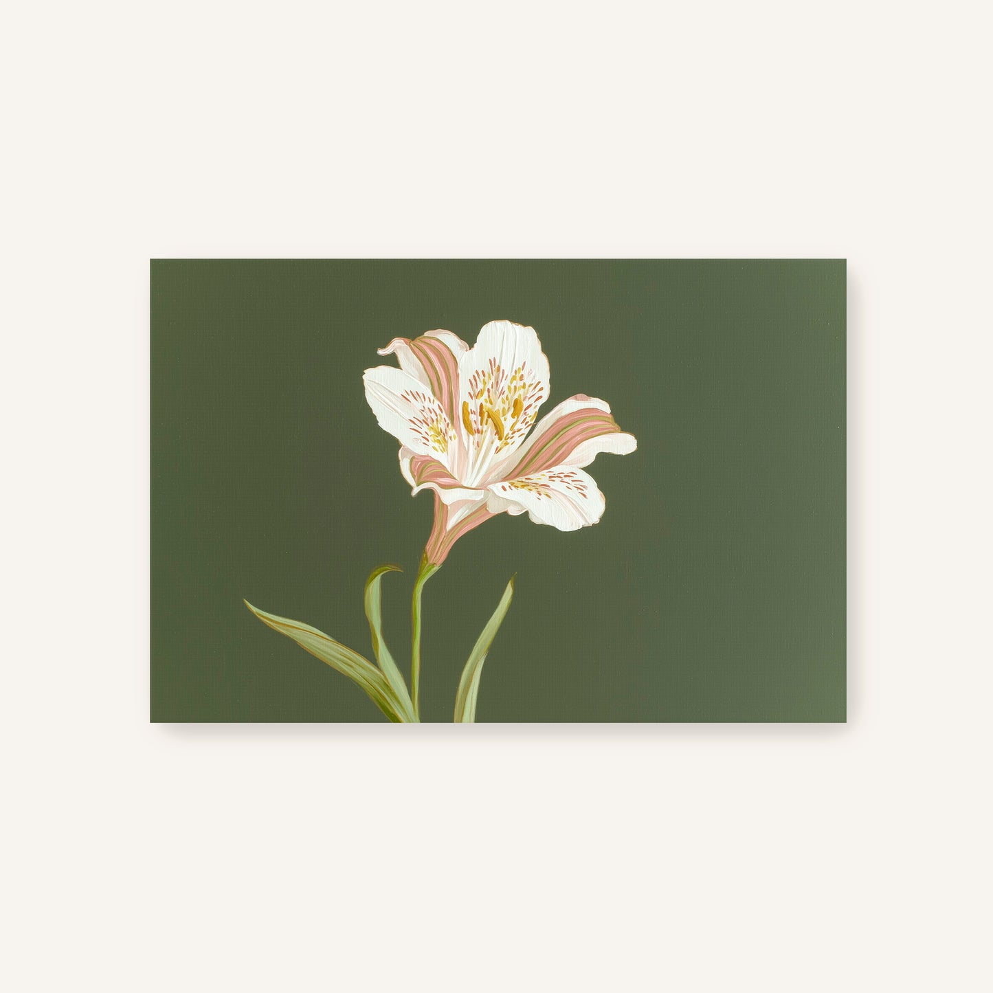Modern botanical wall art of a white lily flower on green background, unframed canvas