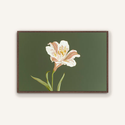 Modern botanical wall art of a white lily on green background in a dark espresso tone wood floating frame